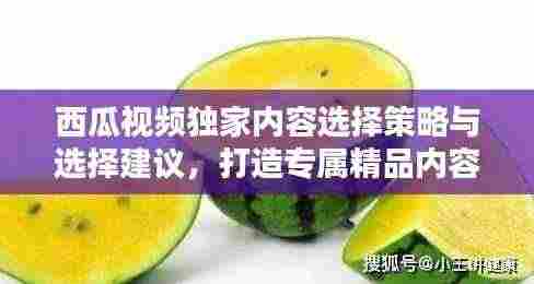 西瓜视频独家内容选择策略与选择建议,打造专属精品内容吸引眼球