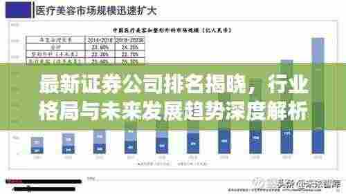 最新证券公司排名揭晓,行业格局与未来发展趋势深度解析