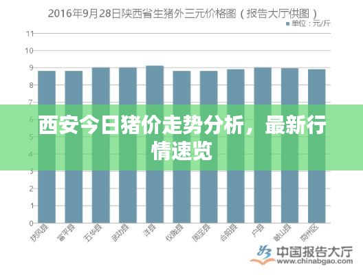 西安今日猪价走势分析,最新行情速览