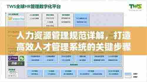 人力资源管理规范详解,打造高效人才管理系统的关键步骤!