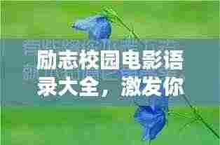 励志校园电影语录大全,激发你无限潜能的校园力量