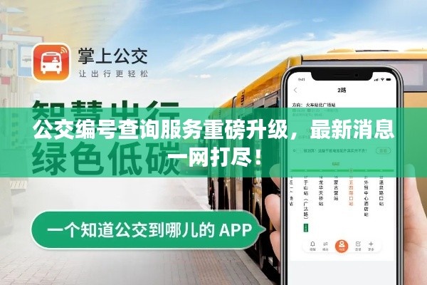 公交编号查询服务重磅升级,最新消息一网打尽!