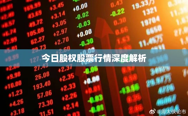 今日股权股票行情深度解析