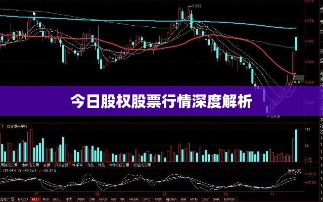 今日股权股票行情深度解析