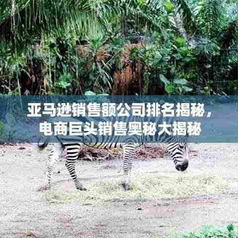 亚马逊销售额公司排名揭秘,电商巨头销售奥秘大揭秘