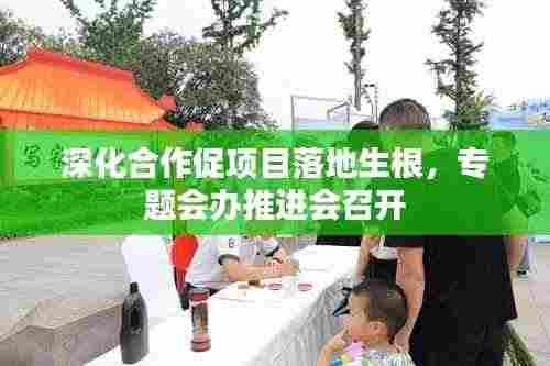 深化合作促项目落地生根,专题会办推进会召开