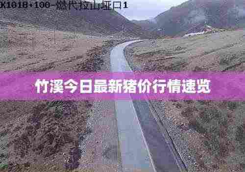 竹溪今日最新猪价行情速览