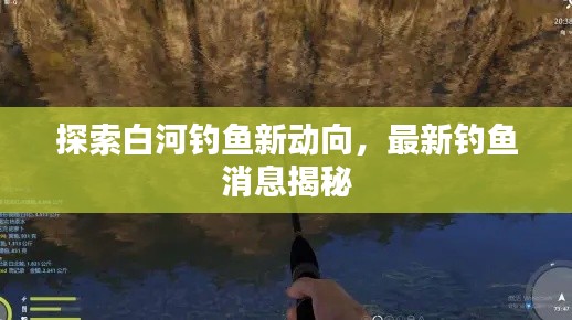 探索白河钓鱼新动向,最新钓鱼消息揭秘