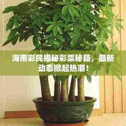 海南彩民揭秘彩票秘籍，最新动态掀起热潮！