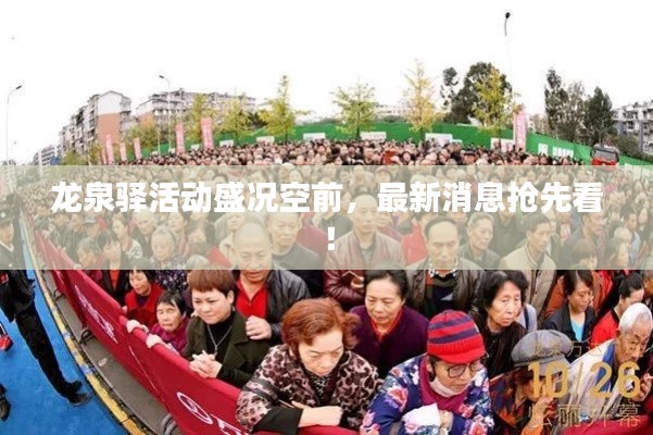 龙泉驿活动盛况空前,最新消息抢先看!