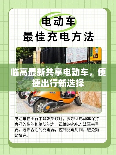 临高最新共享电动车，便捷出行新选择