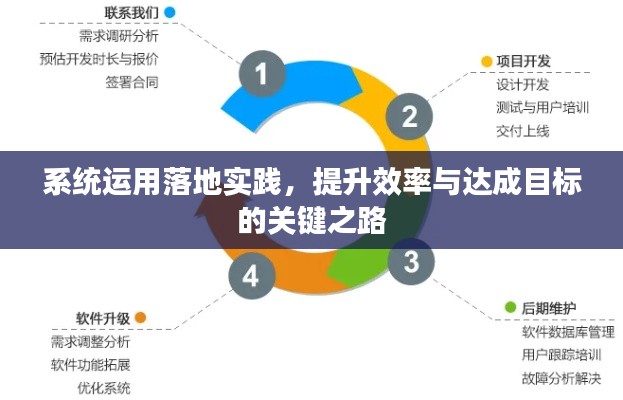系统运用落地实践,提升效率与达成目标的关键之路