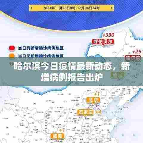 哈尔滨今日疫情最新动态,新增病例报告出炉