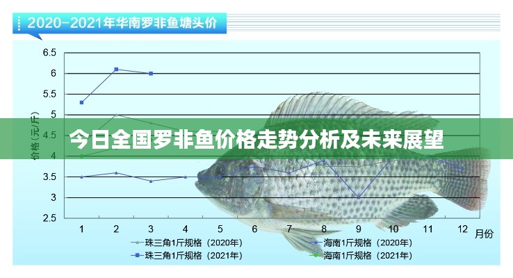 今日全国罗非鱼价格走势分析及未来展望