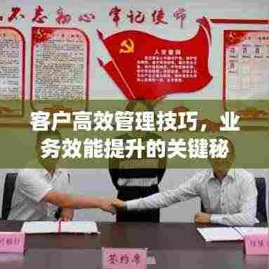 客户高效管理技巧,业务效能提升的关键秘籍