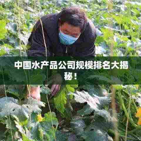 中国水产品公司规模排名大揭秘!