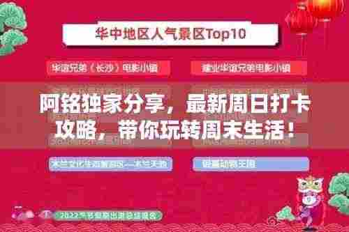 阿铭独家分享,最新周日打卡攻略,带你玩转周末生活!