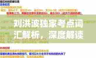 刘洪波独家考点词汇解析，深度解读与高效备考策略