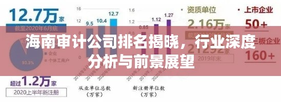 海南审计公司排名揭晓,行业深度分析与前景展望