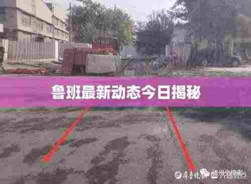 鲁班最新动态今日揭秘