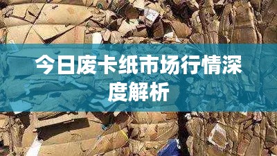 今日废卡纸市场行情深度解析