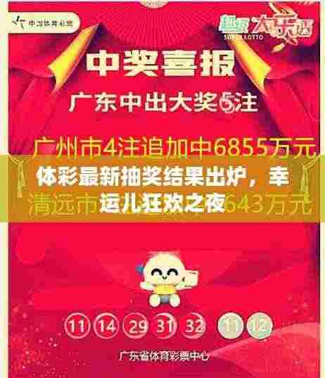 体彩最新抽奖结果出炉,幸运儿狂欢之夜