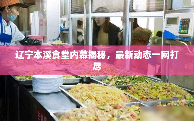 辽宁本溪食堂内幕揭秘，最新动态一网打尽