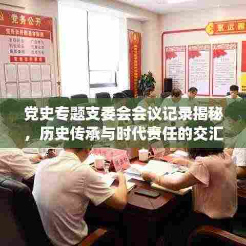 党史专题支委会会议记录揭秘，历史传承与时代责任的交汇