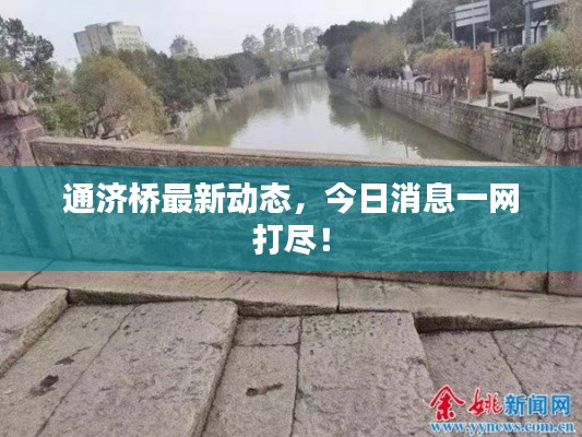 通济桥最新动态,今日消息一网打尽!