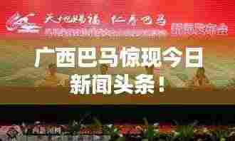 广西巴马惊现今日新闻头条！