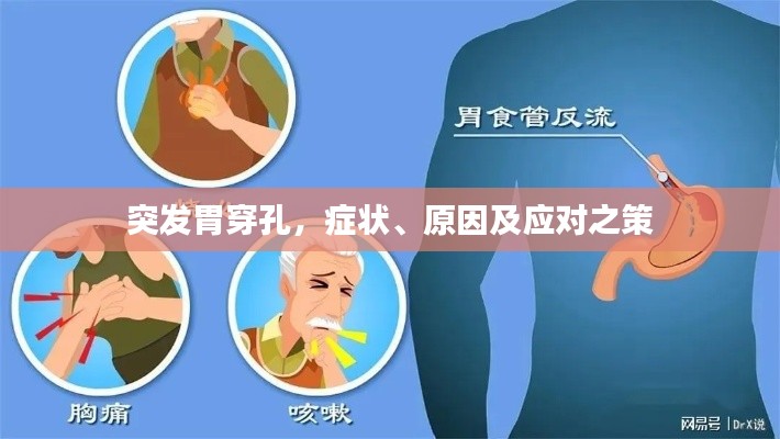 突发胃穿孔,症状、原因及应对之策