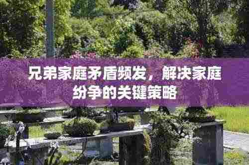 兄弟家庭矛盾频发,解决家庭纷争的关键策略