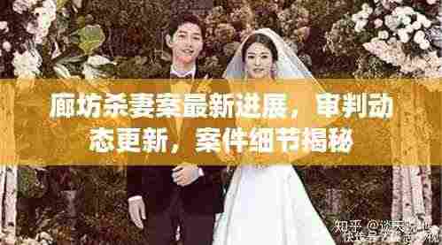 廊坊杀妻案最新进展,审判动态更新,案件细节揭秘